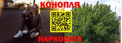 крисы Добрянка