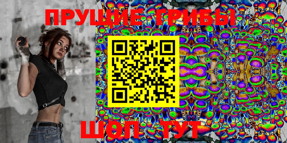 Бердск  Галлюциногенные грибы Cubensis  Вход с VPN 